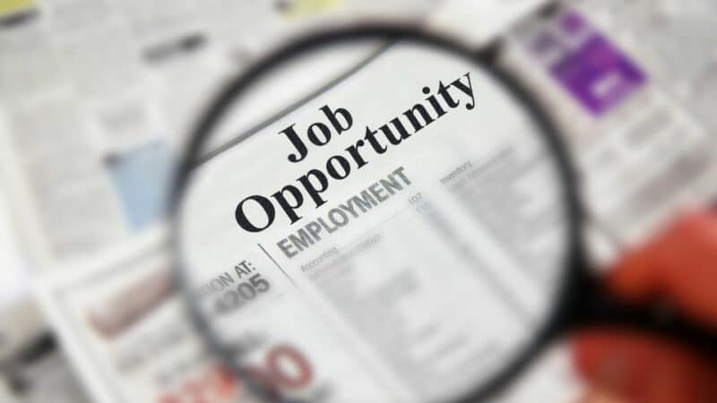 חקר מעסיקים פוטנציאליים והזדמנויות תעסוקה